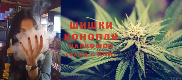 дживик Протвино