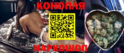 apvp Бийск
