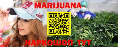 apvp Бийск