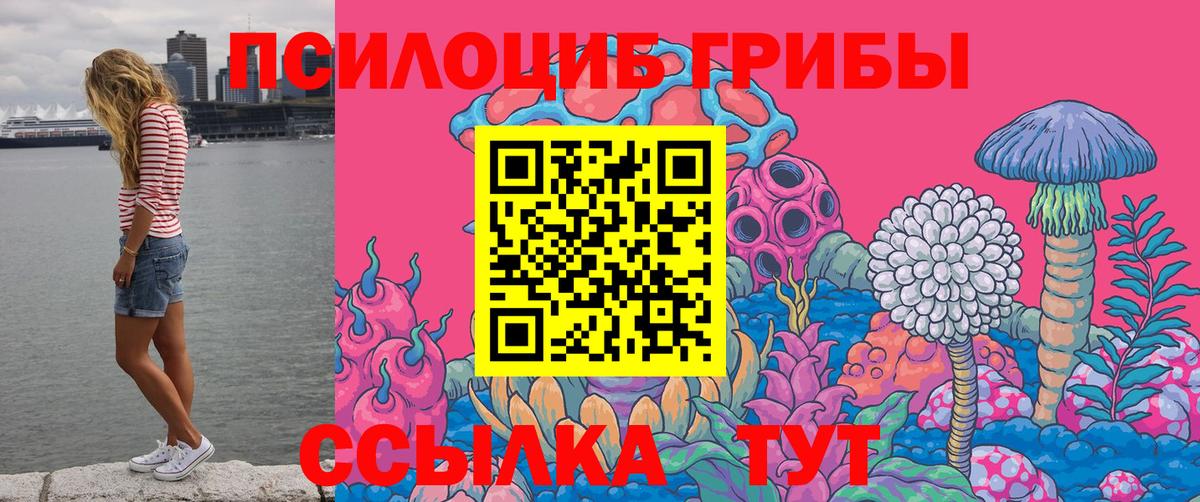 Братск  Галлюциногенные грибы ЛСД  Вход с VPN 
